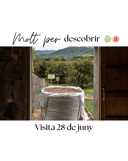 Passegem entre avellaners,  diumenge 28 de juny
